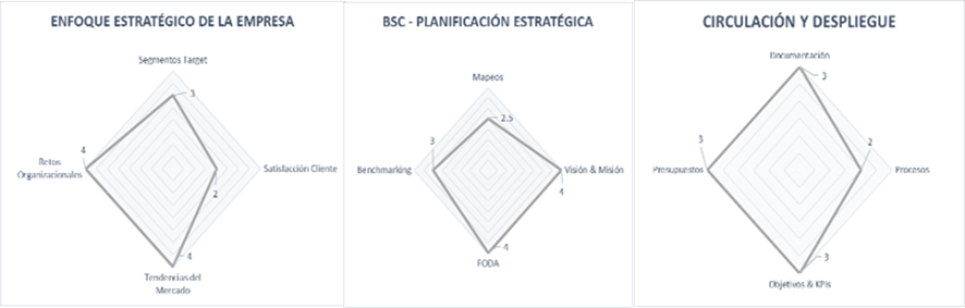 Diagrama radial de los resultados del Diagnóstico del Direccionamiento Estratégico de la Empresa Embote-lladora de gaseosas de alcance local.