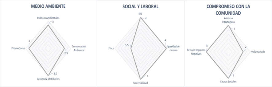 Diagrama radial de los resultados de la Responsabilidad Social Empresarial de la Empresa Embotelladora de gaseosas de alcance local.