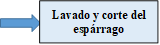 Lavado y corte del esp�rrago