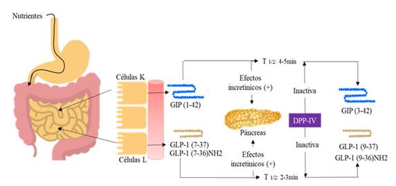 Diagrama
Descripción generada automáticamente