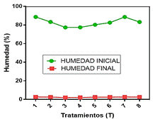 figura 1