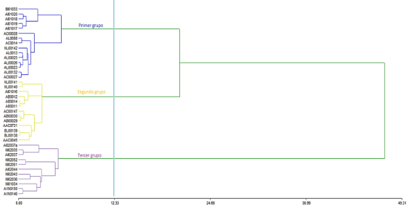 Gráfico, Gráfico de cajas y bigotes

Descripción generada automáticamente