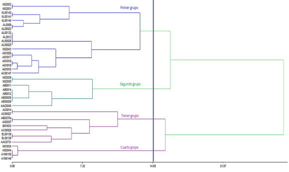 Gráfico, Gráfico de cajas y bigotes

Descripción generada automáticamente