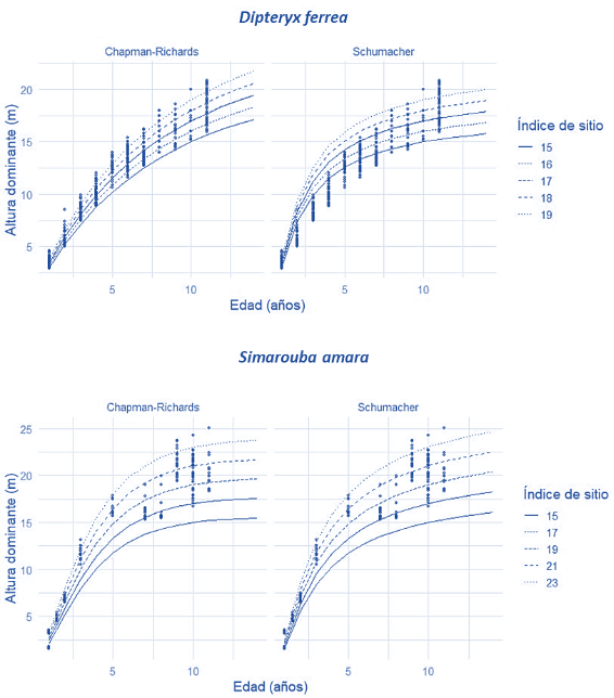 Diagrama

El contenido generado por IA puede ser incorrecto.