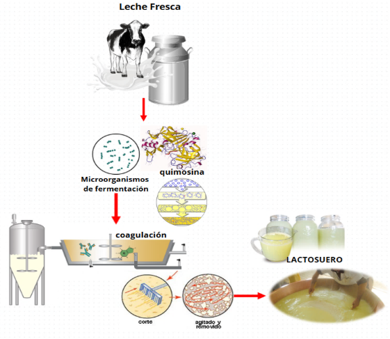 Un par de botellas de vino

Descripción generada automáticamente con confianza media