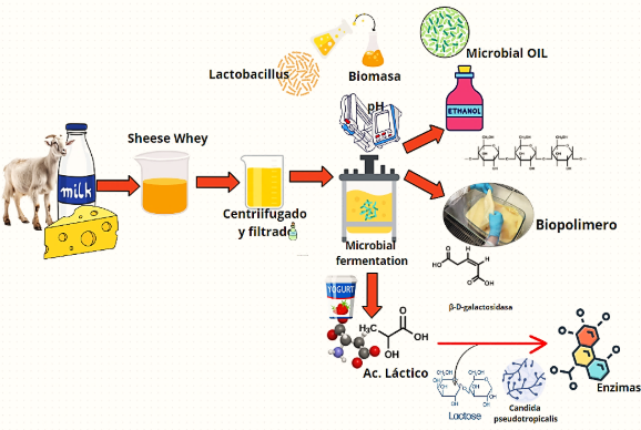 Diagrama

Descripción generada automáticamente