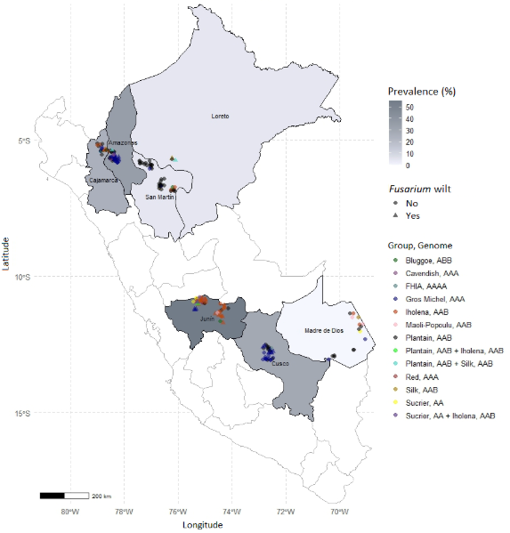 Mapa

El contenido generado por IA puede ser incorrecto.