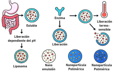 Diagrama

El contenido generado por IA puede ser incorrecto.