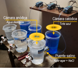 Imagen que contiene tabla, taza, interior, café
Descripción generada automáticamente