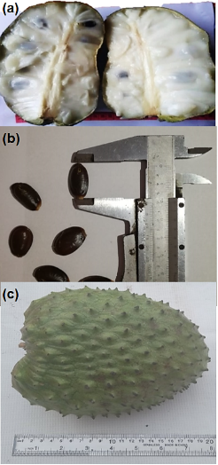Imagen que contiene interior, foto, pastel, diferente
Descripción generada automáticamente