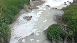 Contaminado por suero de quesos, el río que baja de Miahuatlán a Naolinco – Libertad Bajo Palabra