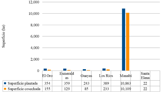 Gráfico
El contenido generado por IA puede ser incorrecto.
