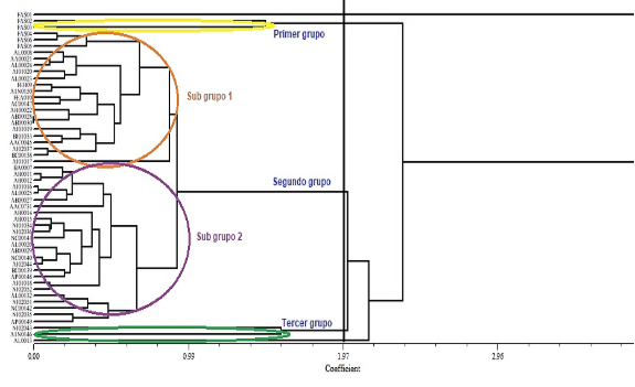 Diagrama
Descripción generada automáticamente