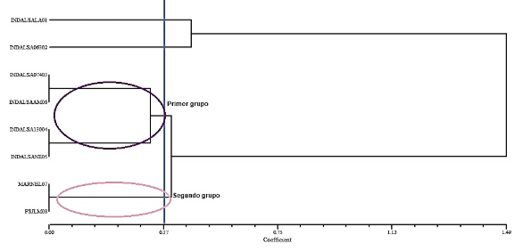 Imagen que contiene Diagrama
Descripción generada automáticamente