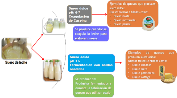 Diagrama
El contenido generado por IA puede ser incorrecto.