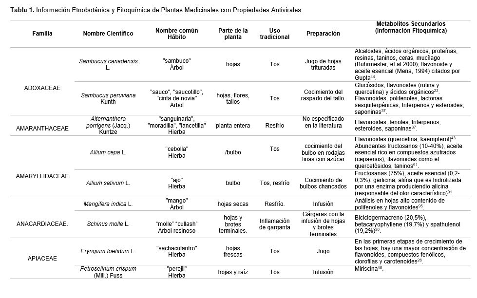 Vista de PLANTAS UTILIZADAS EN MEDICINA TRADICIONAL PARA AFECCIONES  RESPIRATORIAS VIRALES