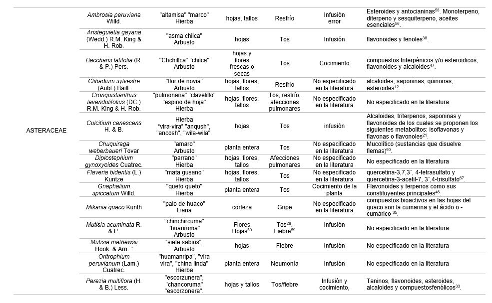 Características de la ruda – Botanical-online