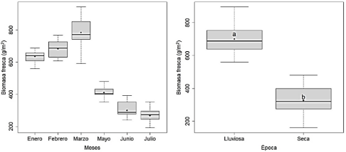 C:\Users\FLEX\Downloads\Biomasa final.jpeg