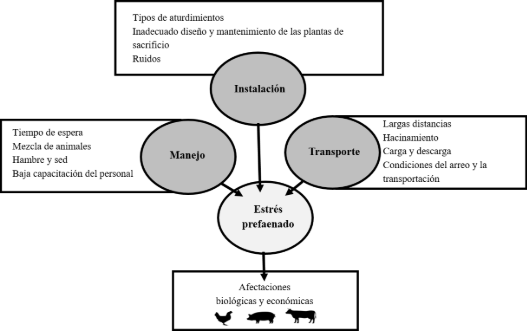 C:\Users\Docente\Desktop\Imagen1.png