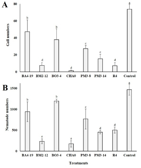 C:\Users\User\Desktop\FELIPE GARCÉS FIALLOS\PUBLICACIONES\ARTÍCULOS\POR ENVIAR\nematodos en tomate\Figures\4. Number of nematodes and galls.jpg