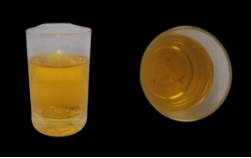 Una bebida en un vaso de cerveza

Descripción generada automáticamente con confianza media
