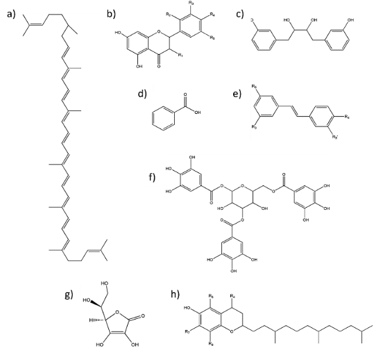 Diagrama, Dibujo de ingeniería

Descripción generada automáticamente