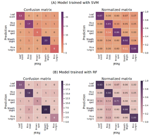 C:\Users\user\Downloads\Figuras\fig_6.png