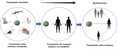 Diagrama
Descripción generada automáticamente