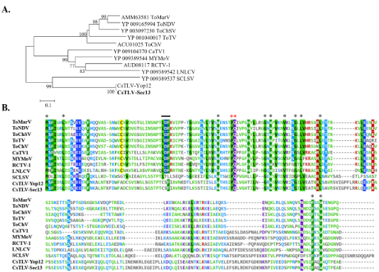 A screen shot of a computer screen
Description automatically generated with low confidence