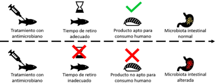Logotipo, nombre de la empresa
Descripción generada automáticamente