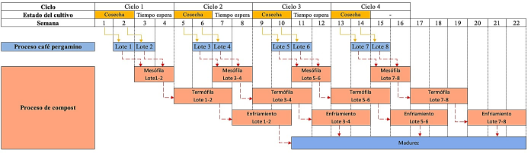 A diagram of a workflow
Description automatically generated