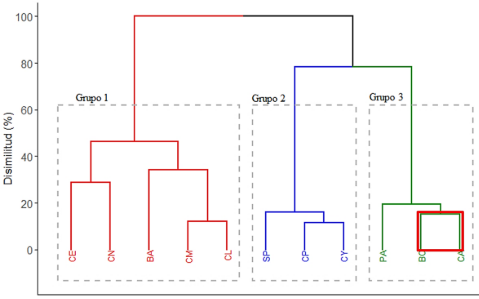 Gráfico, Gráfico de cajas y bigotes
Descripción generada automáticamente