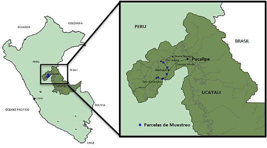 Mapa
Descripción generada automáticamente