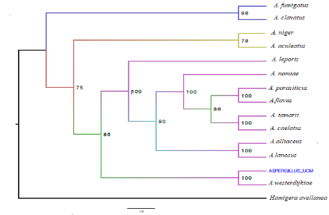 Diagrama
Descripción generada automáticamente con confianza baja