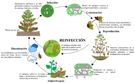 Diagrama
Descripción generada automáticamente