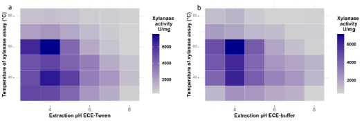Interfaz de usuario gráfica, Aplicación
Descripción generada automáticamente