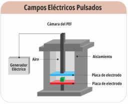 Diagrama
Descripción generada automáticamente