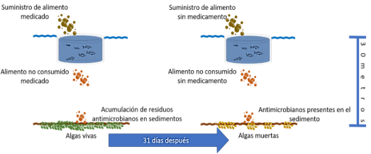 Interfaz de usuario gráfica
Descripción generada automáticamente con confianza media