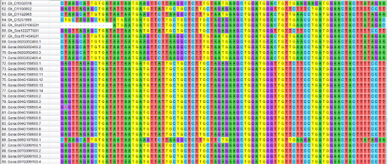 Une image contenant texte, capture d’écran, Caractère coloré, affichage
Description générée automatiquement