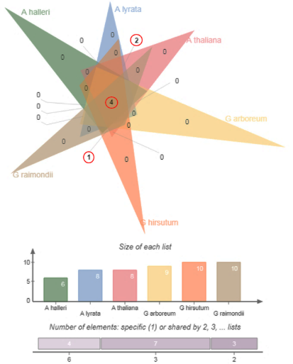 Gráfico, Gráfico radial
Descripción generada automáticamente