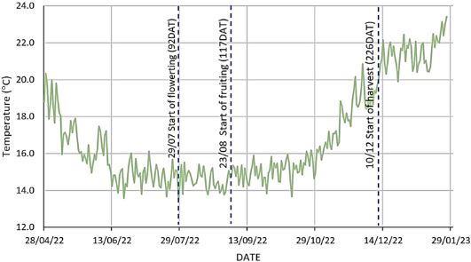 Gráfico
Descripción generada automáticamente