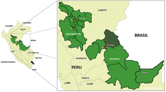 Mapa
El contenido generado por IA puede ser incorrecto.