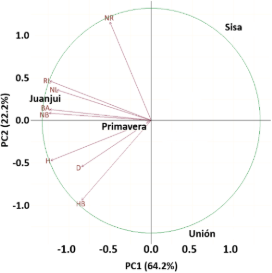 Gráfico, Gráfico radial
El contenido generado por IA puede ser incorrecto.