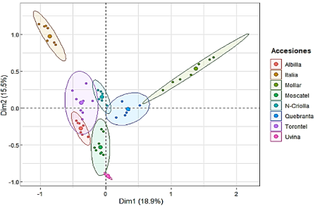 Gráfico
Descripción generada automáticamente