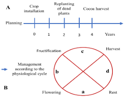Imagen que contiene Gráfico
Descripción generada automáticamente