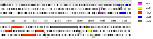 Imagen que contiene Gráfico
Descripción generada automáticamente