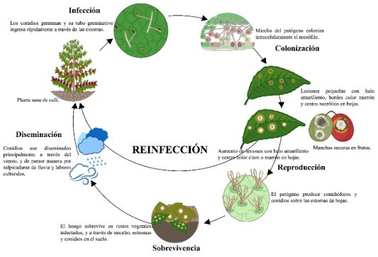 Diagrama
Descripción generada automáticamente