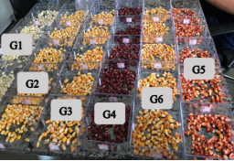 Una venta de comida
El contenido generado por IA puede ser incorrecto.