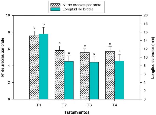 Gráfico, Gráfico de barras
El contenido generado por IA puede ser incorrecto.
