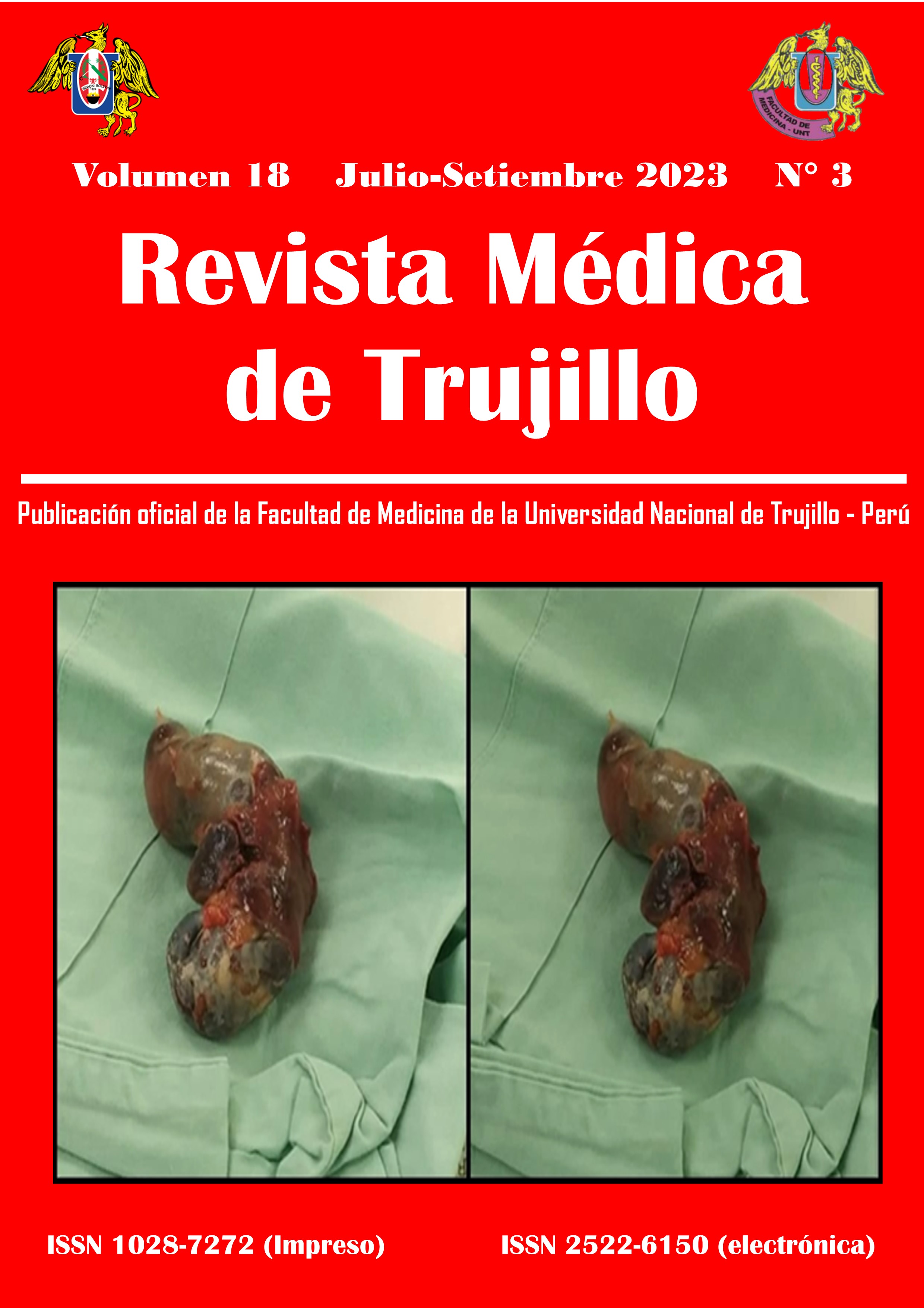 					View Vol. 18 No. 3 (2023): REVISTA MÉDICA DE TRUJILLO
				